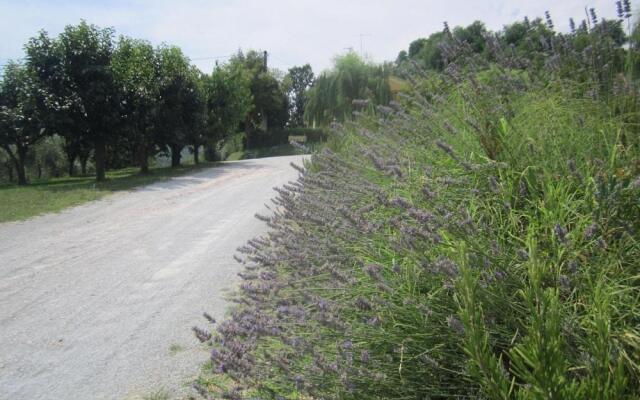 Agriturismo le Spighe - Fattoria Bertaccini