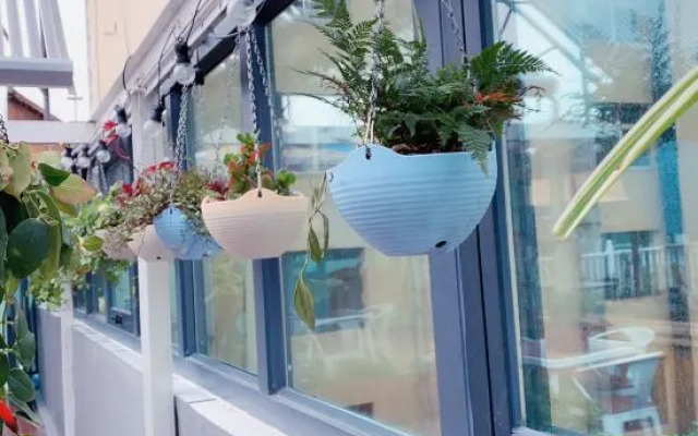 Sheng 45 Youth Hotel