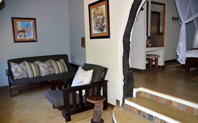 Moholoholo Forest Camp