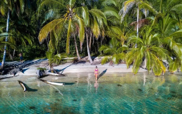 Coconut Bungalows Star Fish Beach
