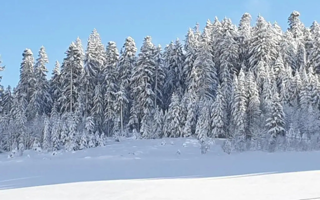 Appartement Rehblick