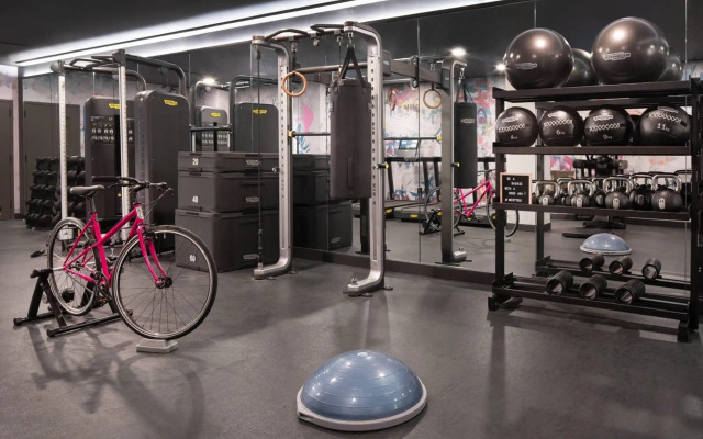 Moxy Austin - University