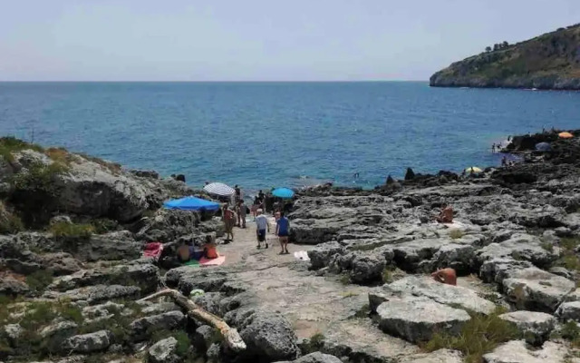 House Overlooking the bay - Seaview