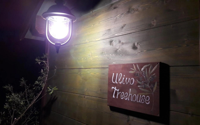 Palazzo Conforti Tree House Resort