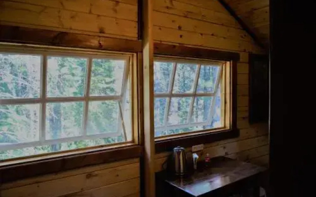 Green House at Teletskoye Lake