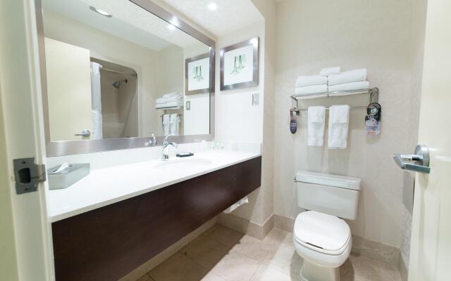 Holiday Inn & Suites Windsor Ambassador Bridge by IHG