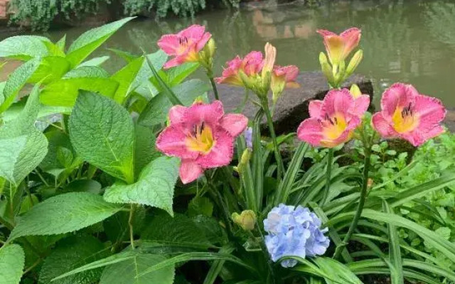 Wuyi Yangchun Shanju Guesthouse