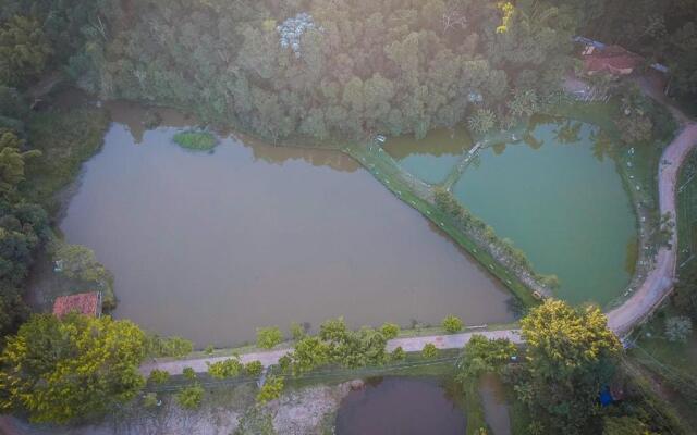 Fazenda Pintado Na Brasa