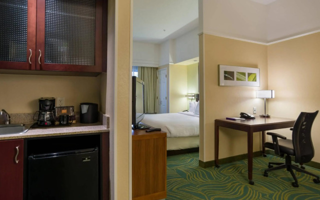 SpringHill Suites by Marriott St. Petersburg Clearwater