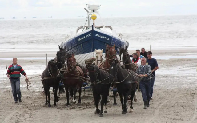 Appartement Ut & Thus, Resort Amelander Kaap