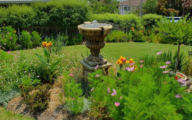 Abalone Guest Accommodation