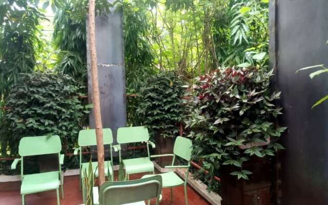 Kilimanjaro Green Homes & Camps - Hostel