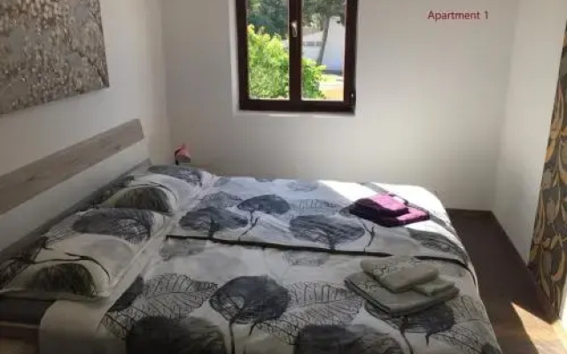 One-Bedroom Apartment in Banjol
