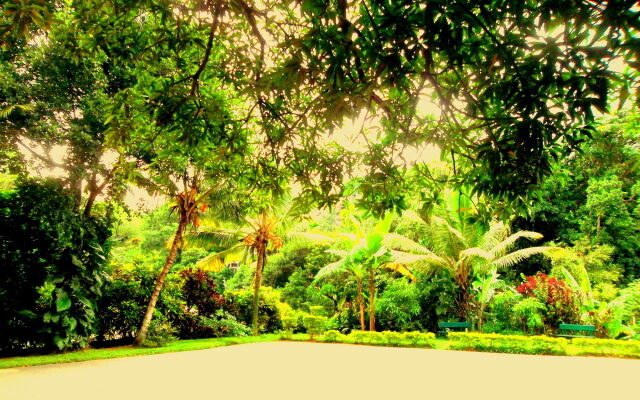 Paradise Inn