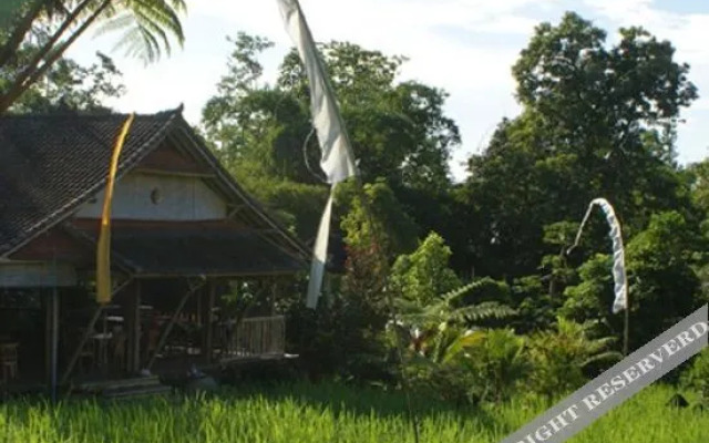 Prana Dewi Mountain Resort