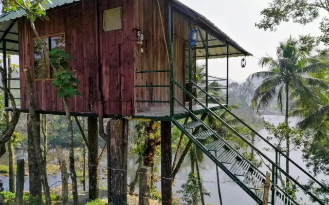 Noah's Nest Tree House