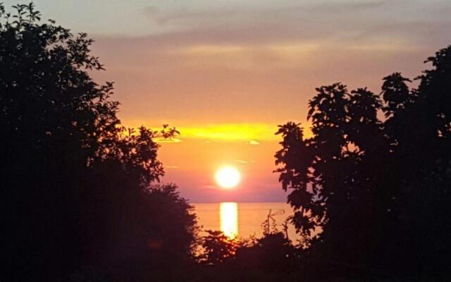 Apartment-Studio-Ginkgo-A1