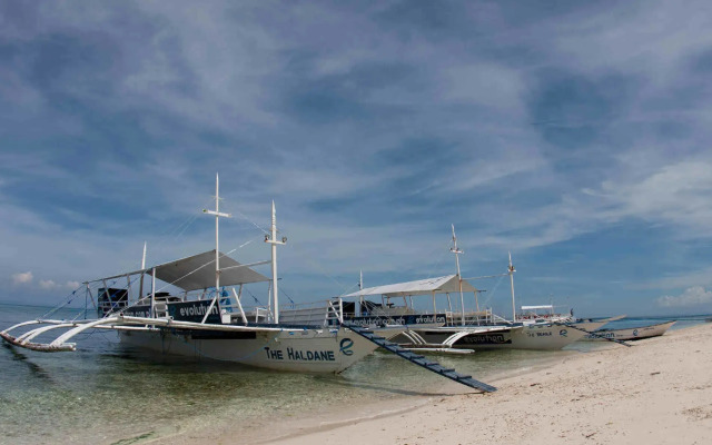 Evolution Dive and Beach Resort