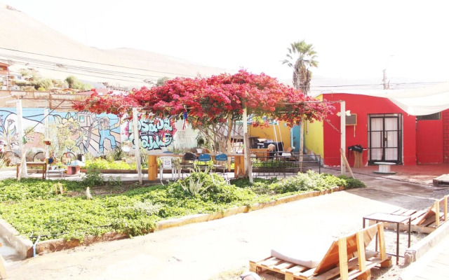 Hostel La Posada De Gallo