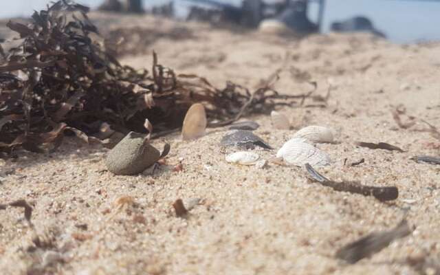 Lovely Apartment in Insel Poel near Baltic Sea Coast