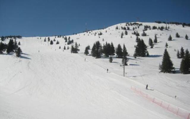 Apartment Kopaonik All Seasons Brzece