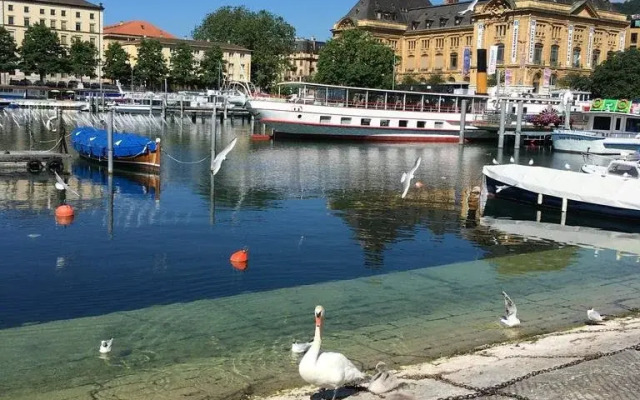 Appartement Maillefer