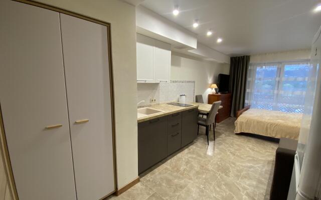 Апартаменты на улице Пластунская 100Б