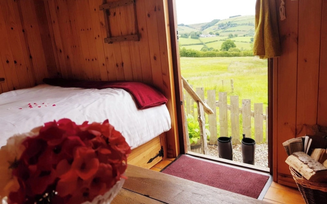 Eco Accommodation Cornflower Holiday
