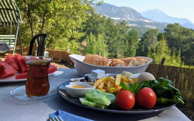 Evergreen Glamping