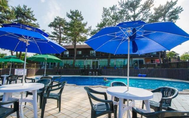 Jeju Solveige Pension