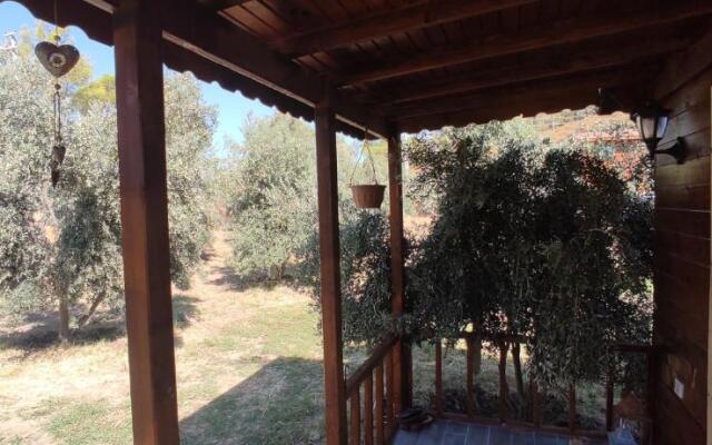 olive garden bungalow