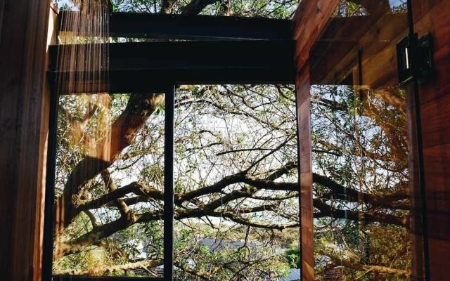 Synergy Treehouse (Pty) Ltd
