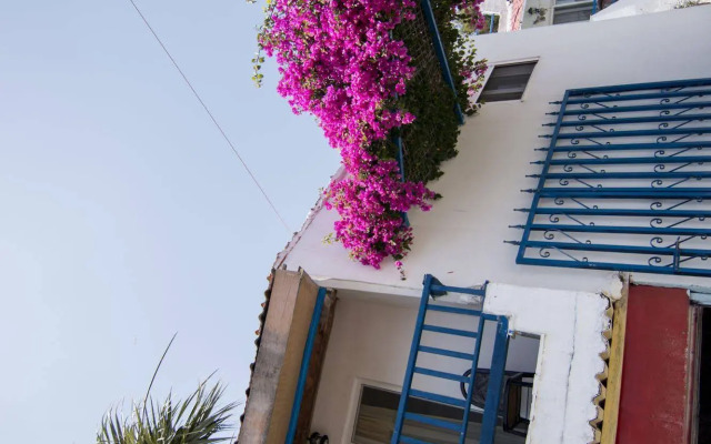 Paradis Studios