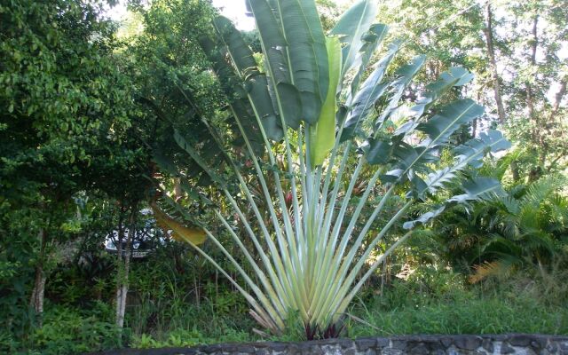 Oasis de Grande Anse