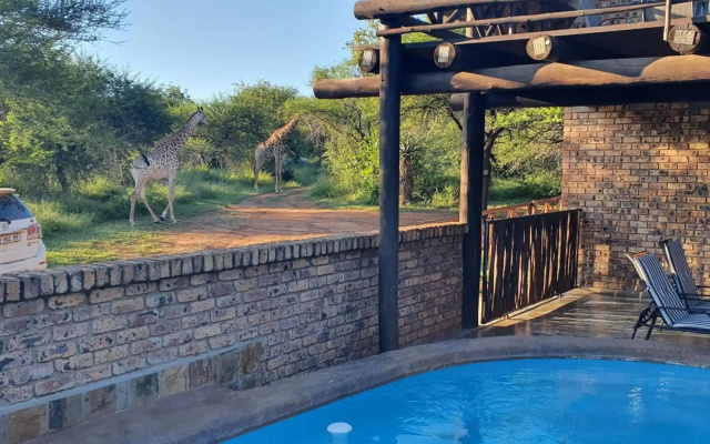Giraffe plains