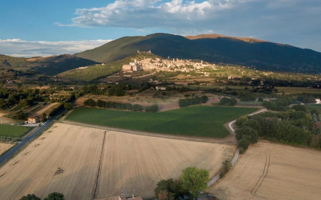 Camere I Monelli