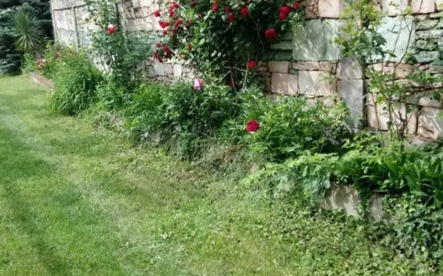 Luse Hostel