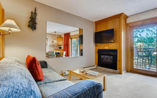 Lift House Lodge, Pet Friendly Studio Condo