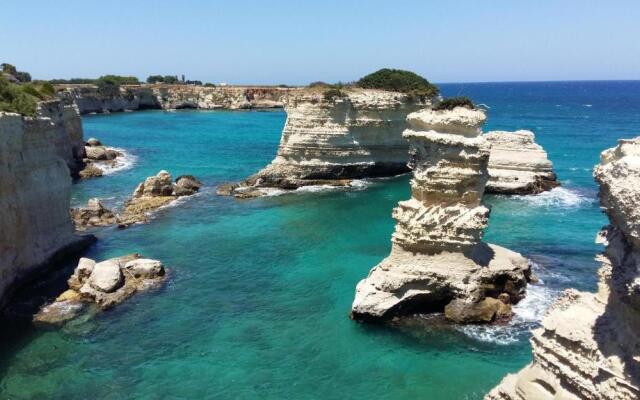 Azienda Agrituristica B&B La Torre