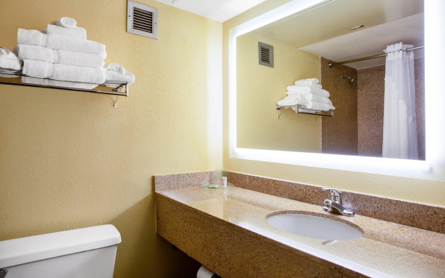 Holiday Inn Morgantown - Reading Area by IHG