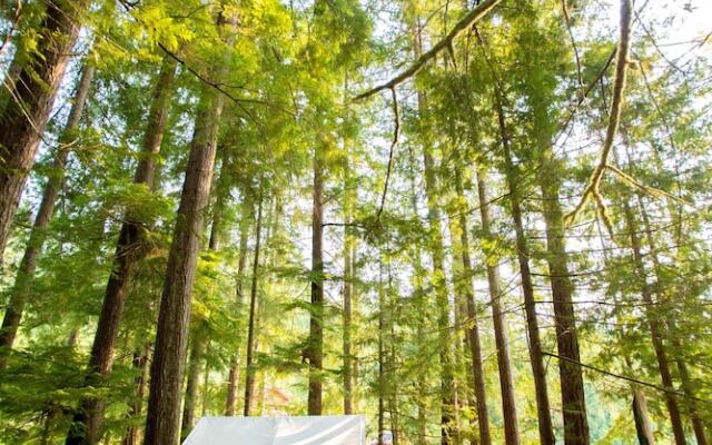 Wilderness Resort & Retreat - Cawley Point