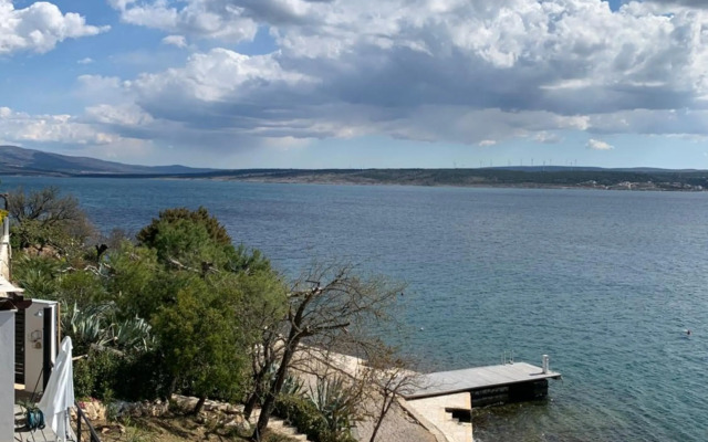 Palms & Beach Maslenica