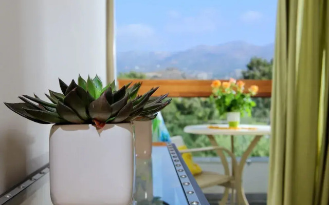 Spezzie Luxury Island Homes