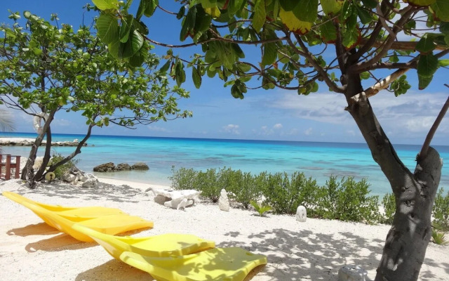 Rangiroa Tiputa Lodge B&B