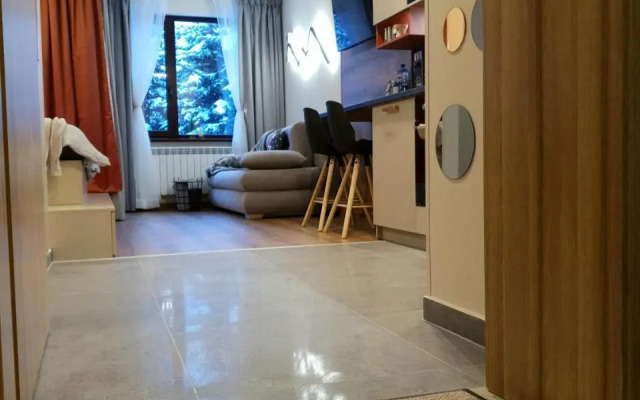 Pinewood ANG luxurious apartment A43, Borovets Gardens