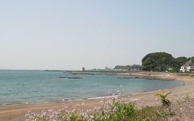 Pension Sirogisu