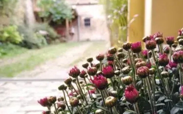 Šomin Lagum B&B