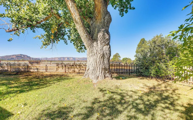 Patio & Mountain Views: Farmhouse in Mancos!