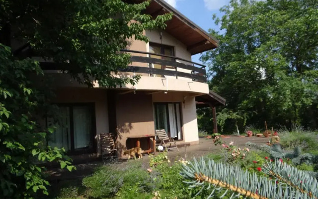 Pensiunea Bamboo - Villa