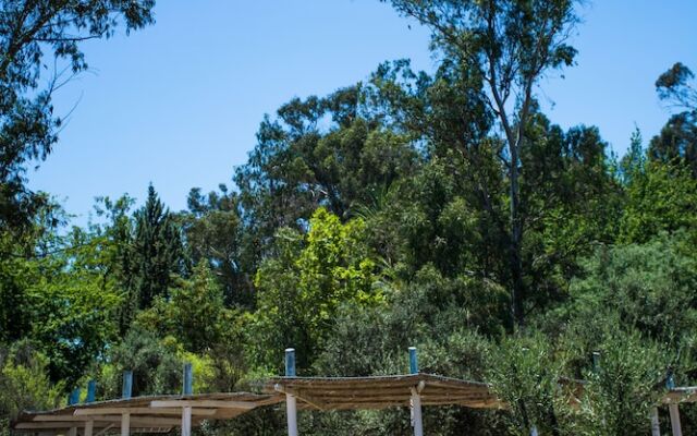 Hacienda Histórica Marchigüe